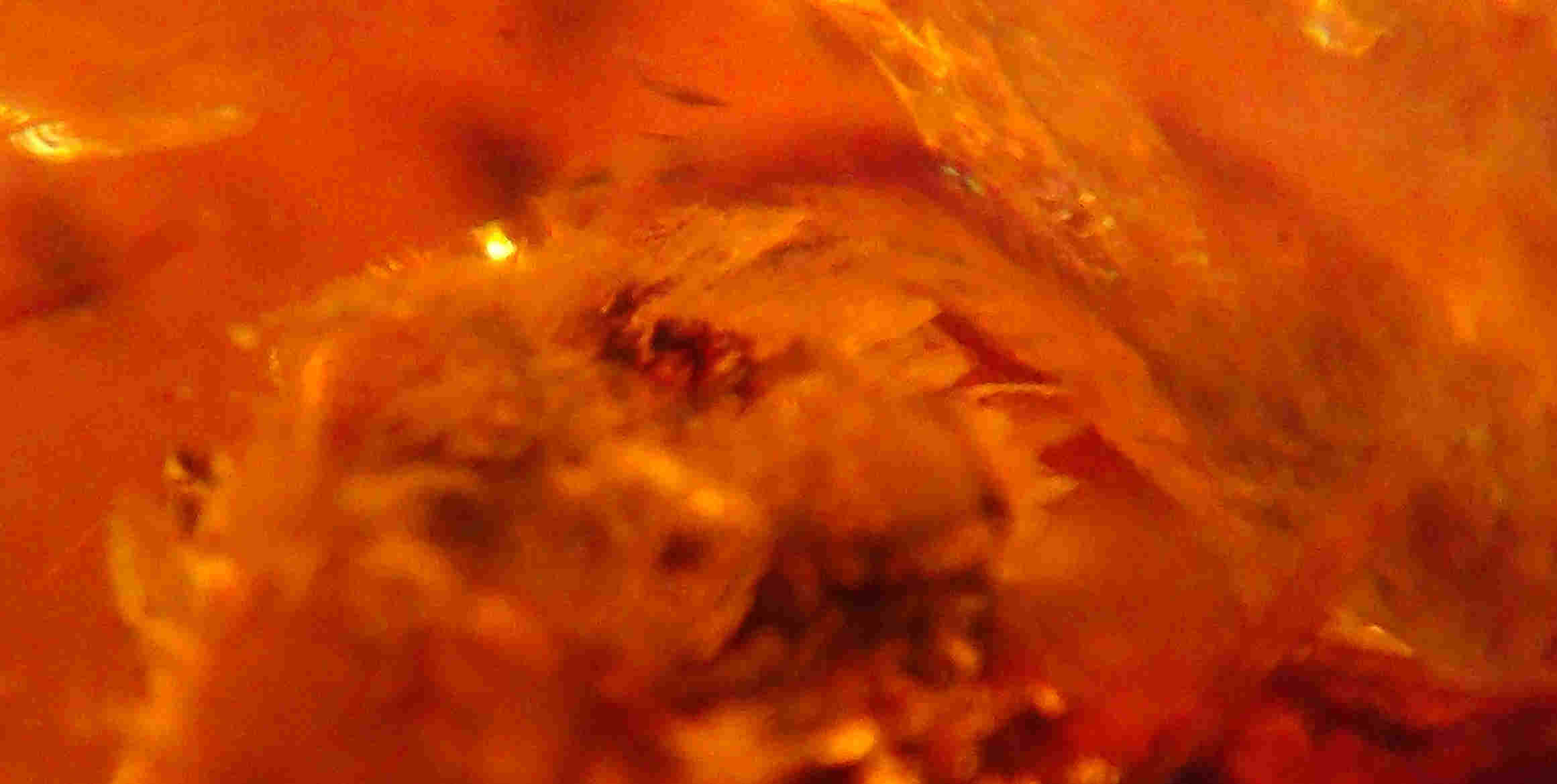 Bird in amber