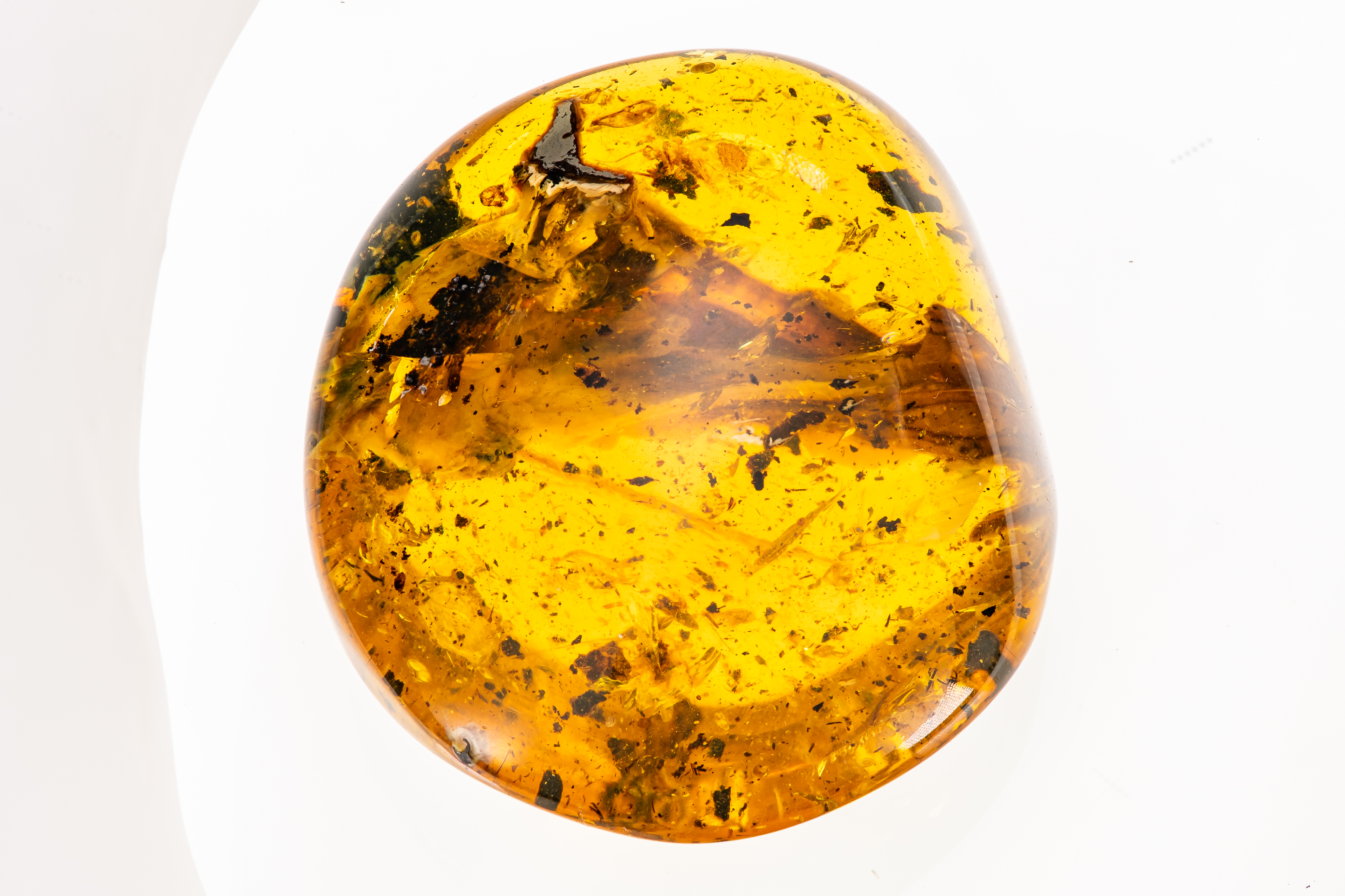 volant head in amber